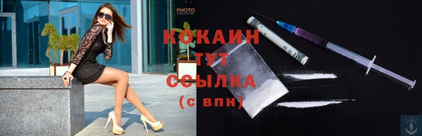 шишки Вяземский