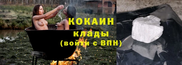 индика Покровск