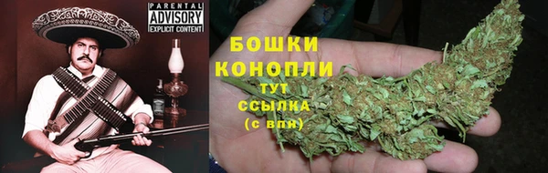 шишки Вяземский
