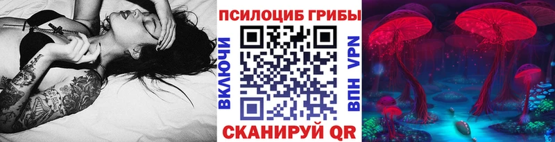 Псилоцибиновые грибы Psilocybe  Елец 
